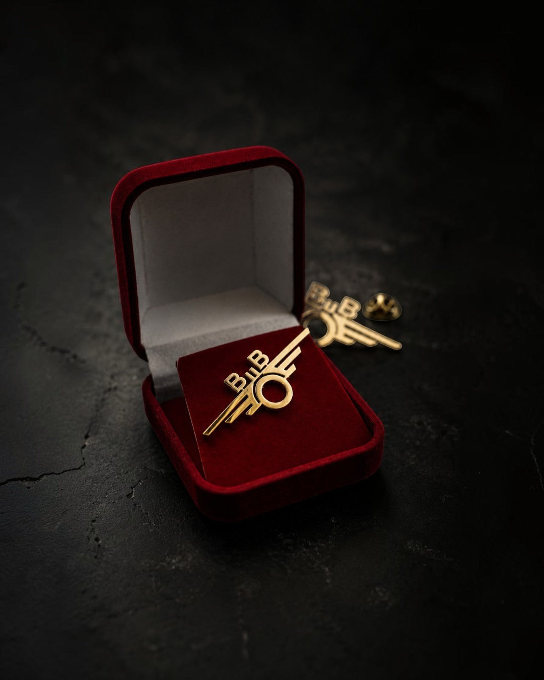 Trainimals Flügelrad Premium Edition Pin in Goldoptik, 4 cm, mit filigranen Flügeln und Rad, in roter Samtbox